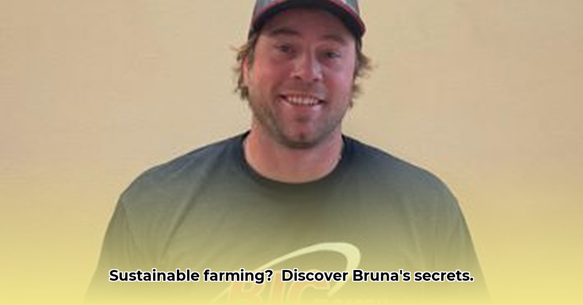 bruna-implement-co-washington-ks